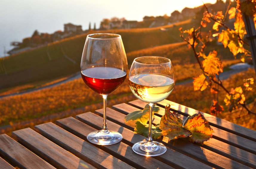 Herbstweine: das Beste der Saison